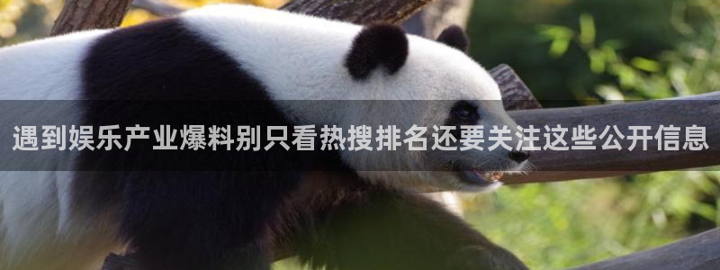 国产51吃瓜
