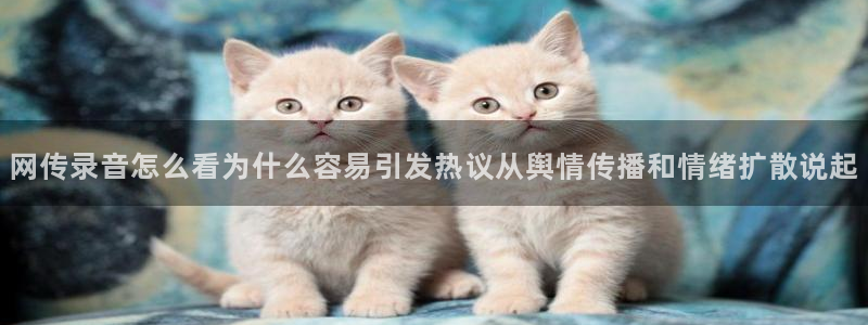 黑料吃瓜视频:网传录音怎么看为什么容易引发热议从舆情传播和情绪扩散说起