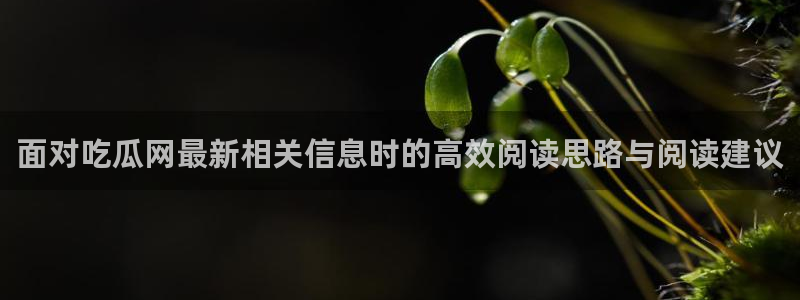 海角吃瓜:面对吃瓜网最新相关信息时的高效阅读思路与阅读建议