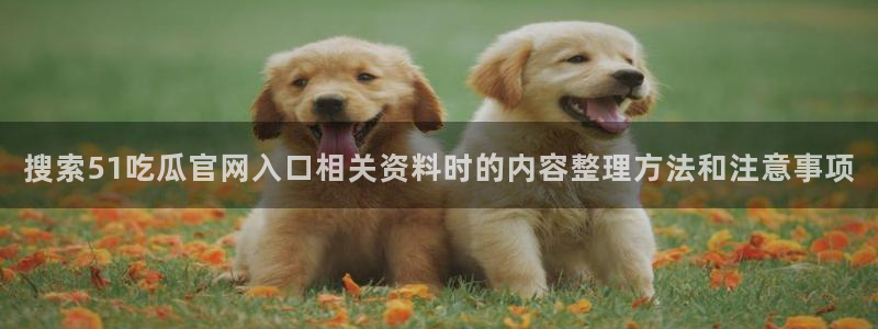 吃瓜观影站最新视频