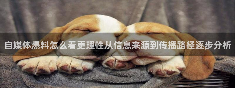 吃瓜